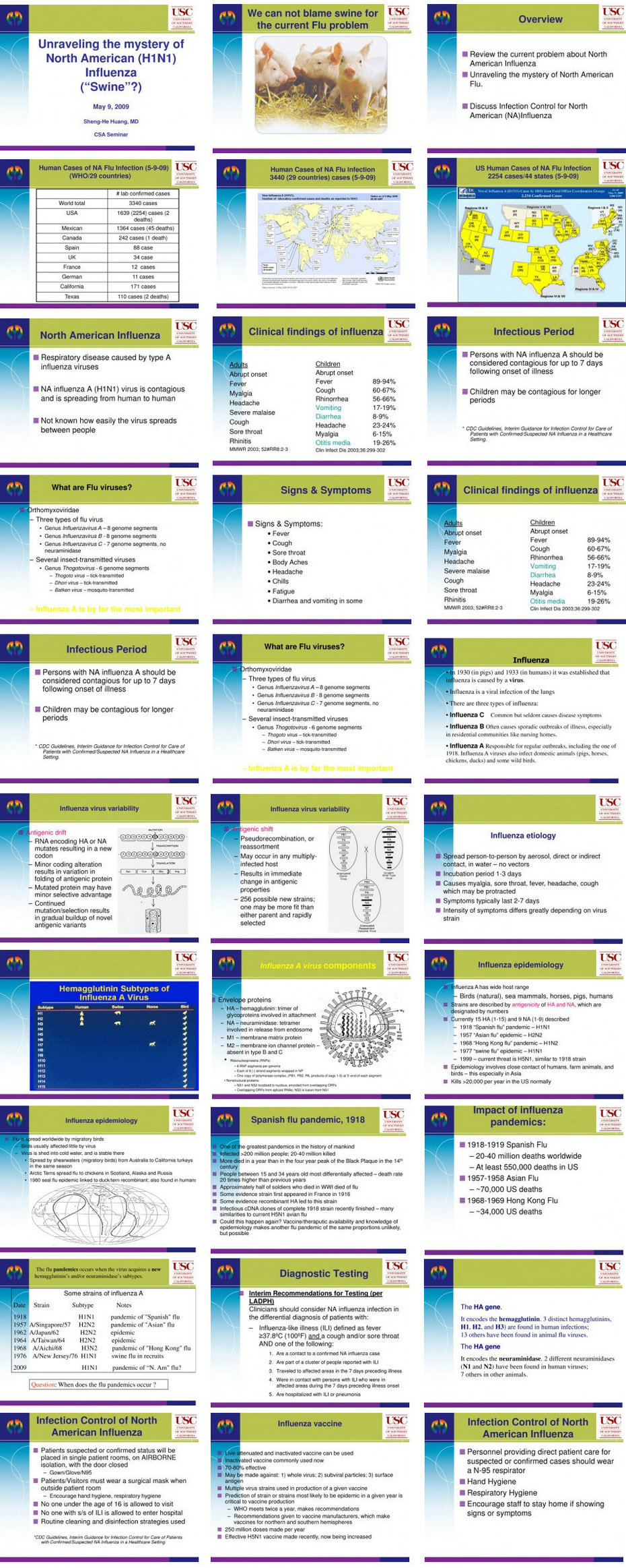 2009 A seminar on H1N1 flu