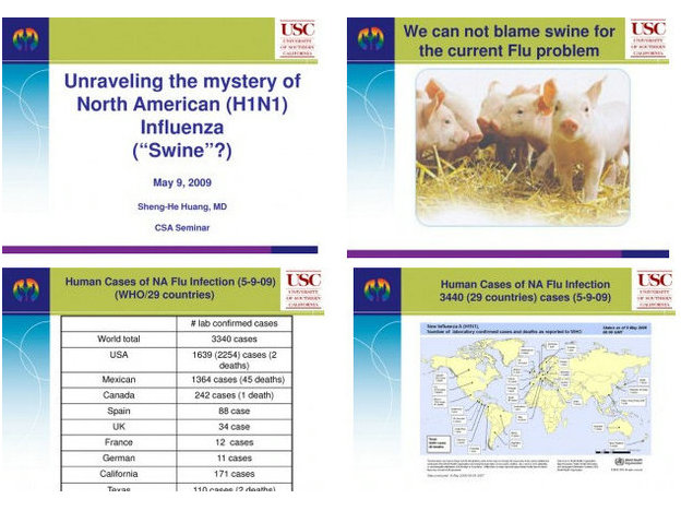 2009 A seminar on H1N1 flu